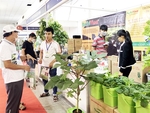 Agro-forestry-fishery farming and processing technology expo and promotion fair open in HCM City