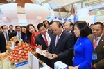 Viet Nam’s cooperative economy potential has not been tapped: PM