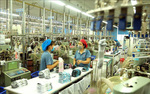 Viet Nam to have 12 ecosystems with revenue of US$100 billion: McKinsey