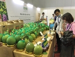 Vietnamese firms urged to tap Africa, Middle East markets
