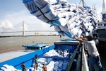 Viet Nam sees rice export growth in January