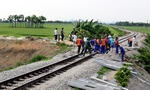 Viet Nam plans to develop railway industry