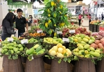 Fruit, vegetable export targets unlikely to be achieved in 2020