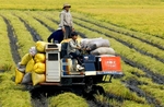 Challenges compel restructuring in agriculture