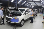 Ford Viet Nam suspends production in Hai Duong