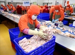 Russia to import Viet Nam’s processed chicken