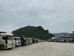 Lang Son proposes temporary halt to goods transport at Tan Thanh border gate