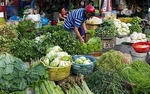 Vegetable shortage continue to push prices upward