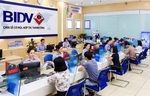 VN-Index witnesses largest one-day gain in 19 years