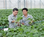 Ha Noi seeks investment for 11 farming projects