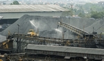 Coal imports surge during the COVID-19 pandemic