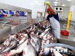 Saudi Arabia to import seafood from 12 Vietnamese firms