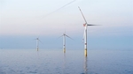 Viet Nam has great potential for wind power: conference