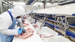 Masan to inaugurate 2nd meat processing complex