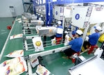 Many industries make rapid recovery in production, exports in October
