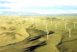 Hapaco eyes investment in VND4-trillion wind power project