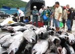 Tuna exports to the US increase