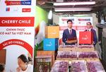 Viet Nam begins to import Chilean cherries