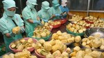 VN focuses on processing of agricultural produce for export