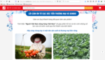 Agricultural products go online
