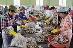 Tra Vinh Province seeks investment