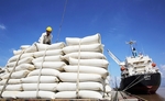 Lower prices will make it easier to sell rice: exporters