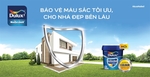 Dulux launches innovative paint solutions