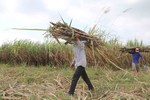 Ministry slaps anti-dumping and anti-subsidy duties on sugar from Thailand
