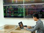 Market rebounds, VN-Index gains more than 10 points