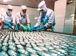 Viet Nam strives to be a global seafood processing centre