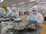 Seafood companies to overcome COVID-19 challenges