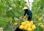 Nine global agritech entrepreneurs supported to scale solutions in Viet Nam