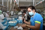 Vinh Long works to support business in local IPs amid COVID-19