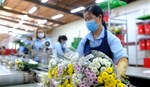 Viet Nam to resume cut flower exports to Australia