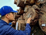 Huge potential for Viet Nam's timber exports, but certification a must
