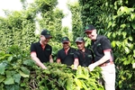 Regenerative agriculture: key to reducing emission and the core of Nestlé’s sustainable coffee strategy