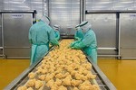 CPV Food Binh Phuoc exports first batch of processed chicken to Japan