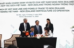 Agriculture a basis of Viet Nam-New Zealand relations: PM Jacinda Ardern