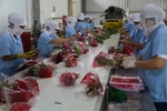 VN targets $5 billion in fruit export turnover by 2025