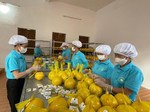 Hoa Binh exports first batch of dien pomelo to UK