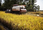 Viet Nam eyes double investment in agriculture to $34 billion by 2030