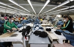 Viet Nams textile, garment exports to Indonesia increasing: TexPro