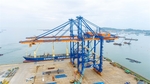 Six new locally made cranes ordered for Dinh Vu Port