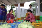 Viet Nam mango exports triple in 2021