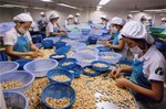 VN firms need to better seize incentives in the CPTPP