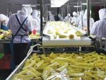 Viet Nam to focus on small agricultural processing businesses