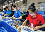 Viet Nam speed up disbursement for economic recovery programme