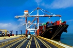 VLA asks to develop regional container fleet