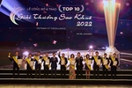 Top 10 Sao Khue awards winners post US$696 million in revenue