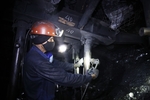 Coal miners expect good year on higher demand, rising prices